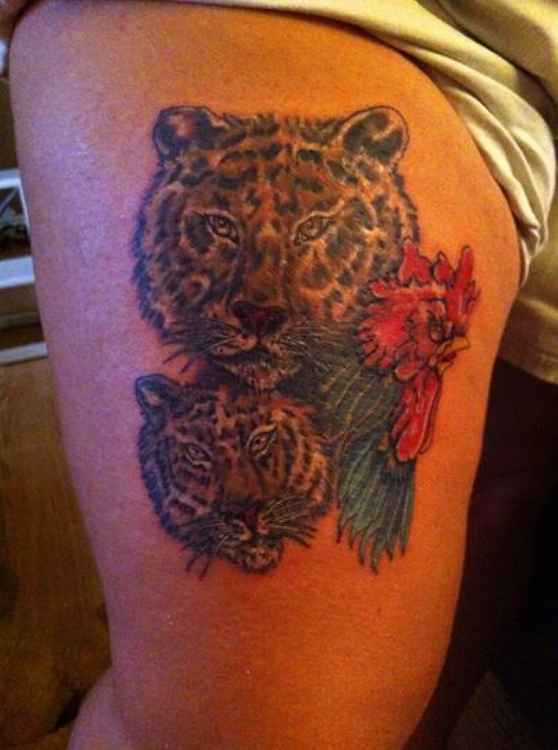 tigers , rooster . bob rose , nl