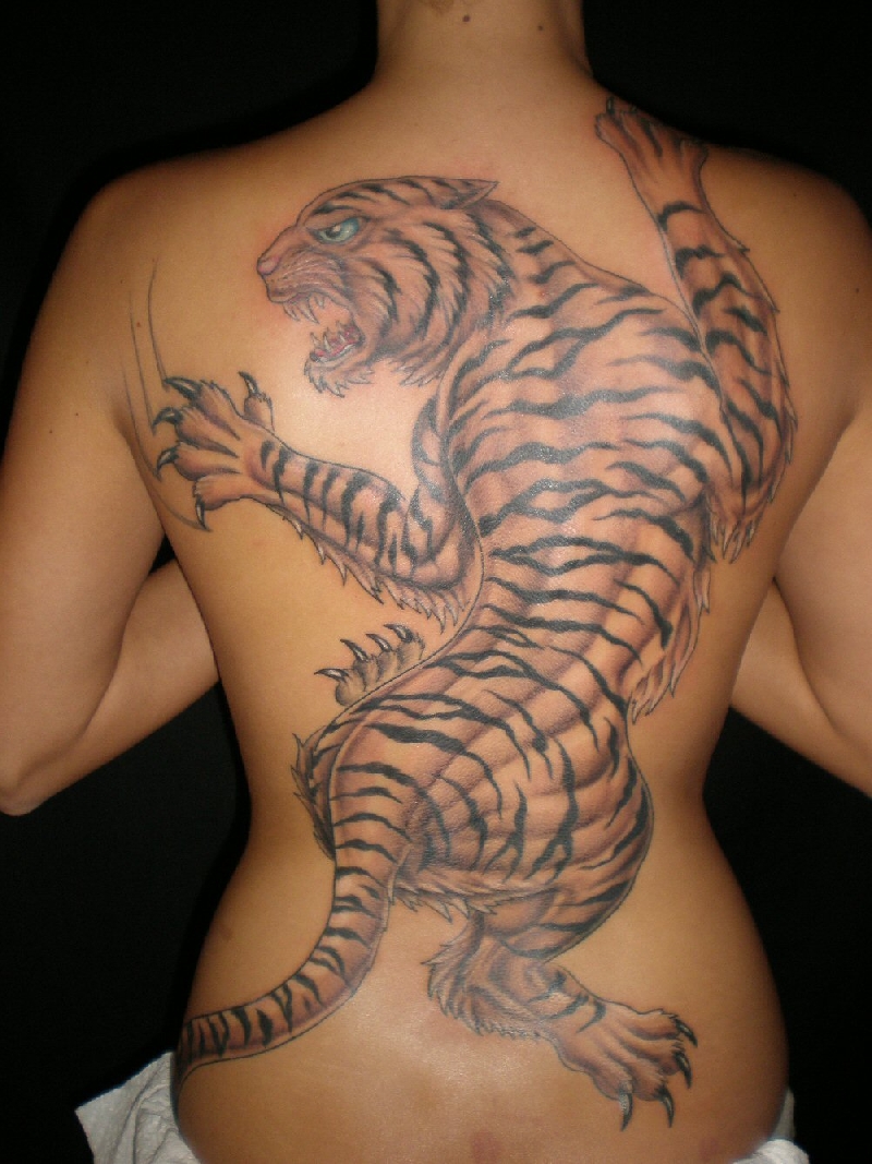 tiger back 2 sessions 7 hrs