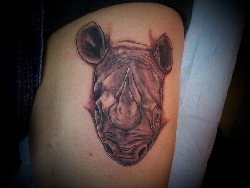First rhino portrait