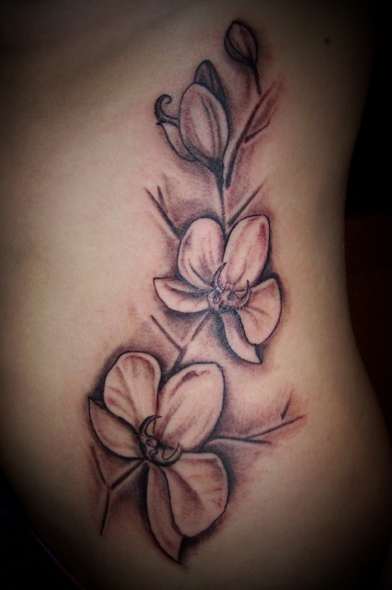 White orchids