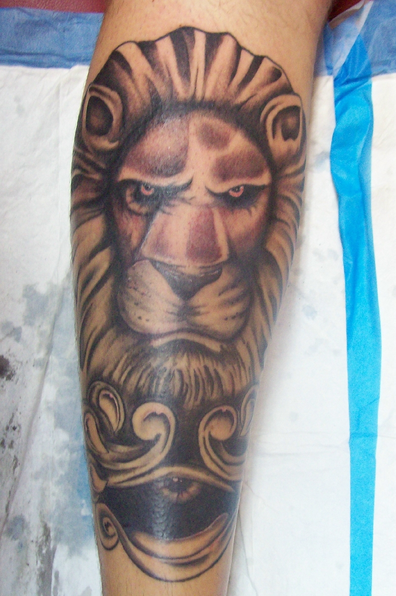 lion