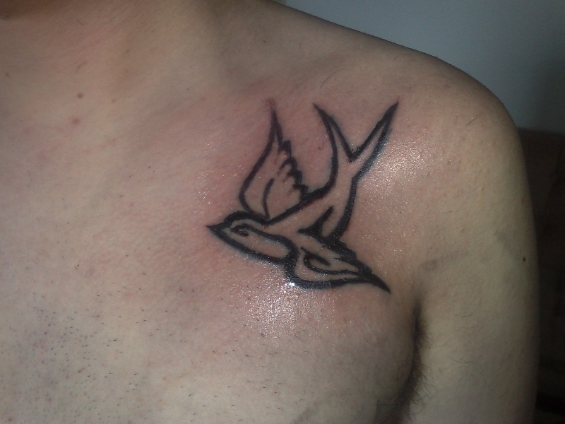tribal swallow