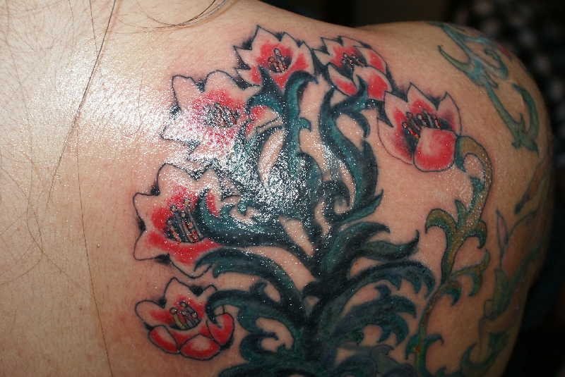 joie cover up
