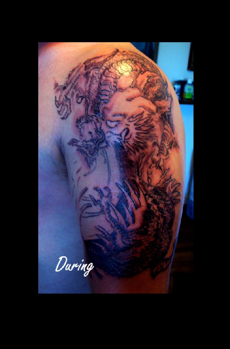 dragon