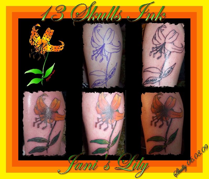 Tribute Lily