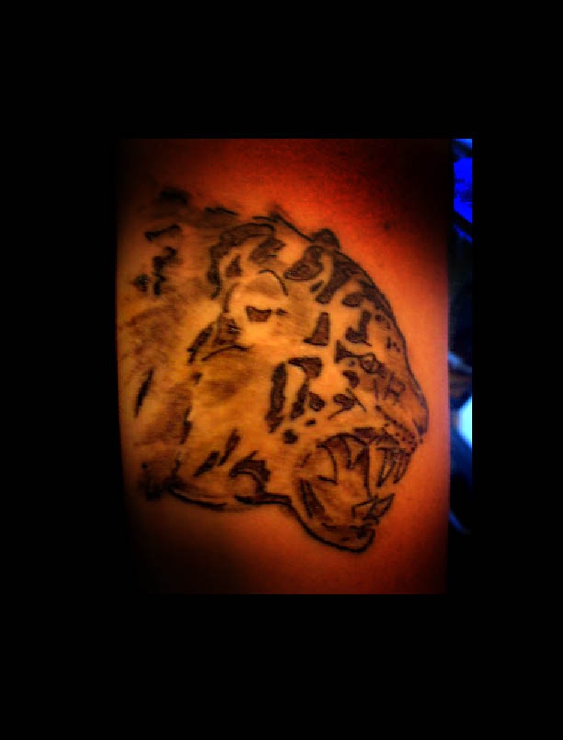 tiger