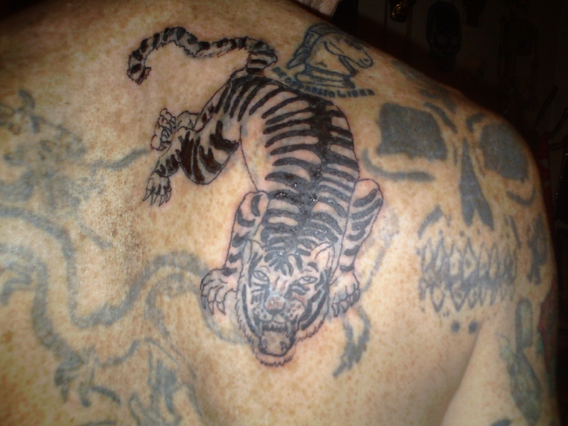 tiger done by Miss Cheetah