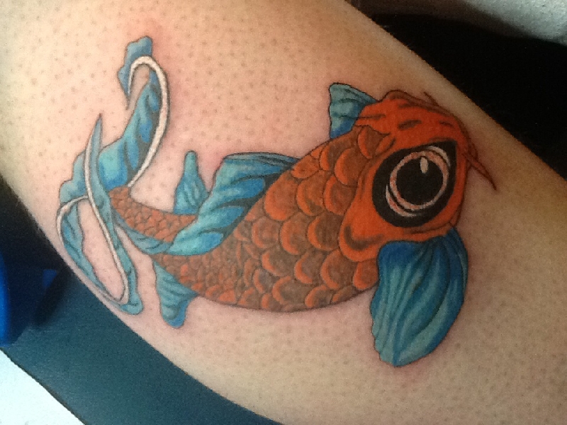 Koi 