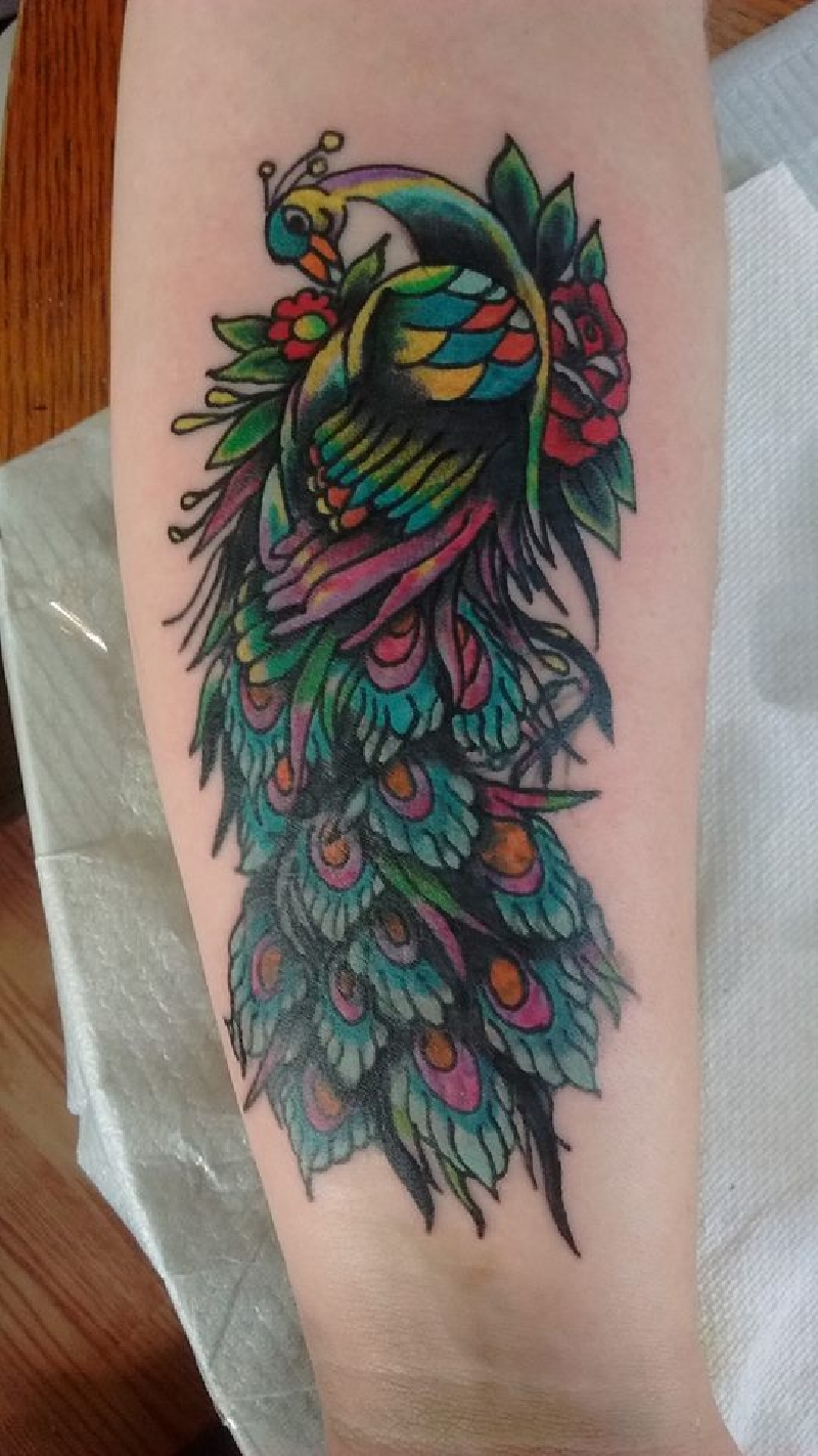 colourfull peacock ,bob rose
