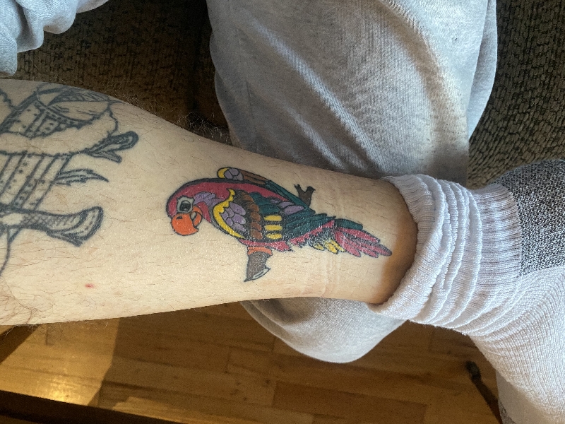 Sailor jerry parrot